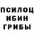 Галлюциногенные грибы мицелий Rasul Ceferow