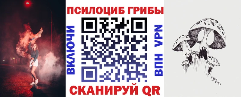 KRAKEN tor  даркнет состав  Чекалин  Псилоцибиновые грибы MAGIC MUSHROOMS  цена  