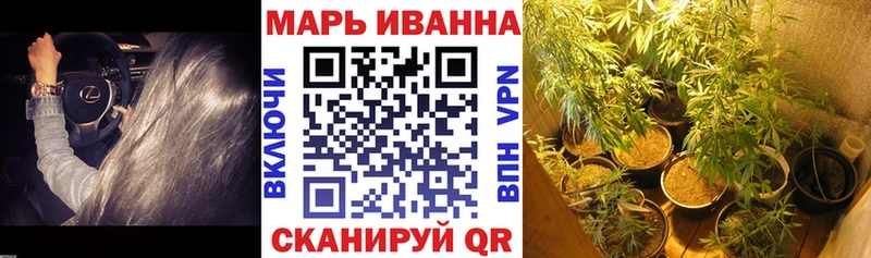Шишки марихуана SATIVA & INDICA  цена наркотик  Чекалин 